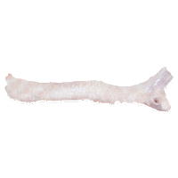 Pork trachea