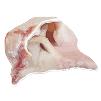 Pork middle ear