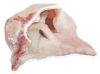 Pork middle ear